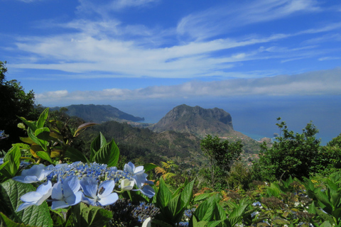 De Funchal: excursion d'une journée au marché des fermiers locaux de Santo de Serra