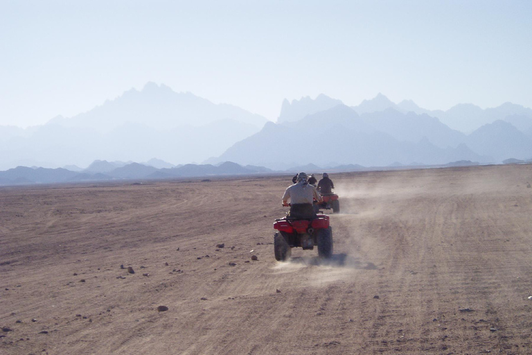 Agadir: Taghazout and Desert Quad Bike Tour