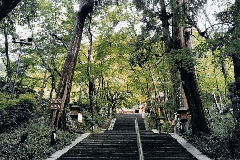 Nara: Explore Tanzan Shrine’s Pagoda and Sacred History