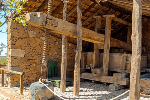 Desde Las Américas!VIP Wine tasting & Guachinche lunch 1200m VIP Wine Tour! Enjoy 7 wines in bodega & Guachinche lunch