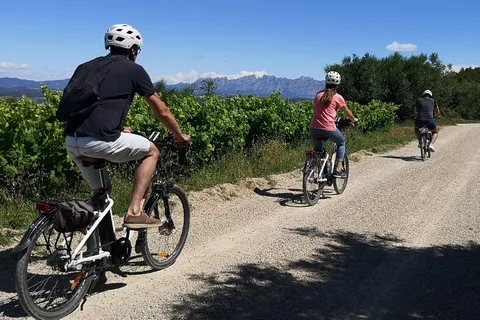 Barcelona: Recorrido autoguiado en eBike por el Penedès con cata de vinos
