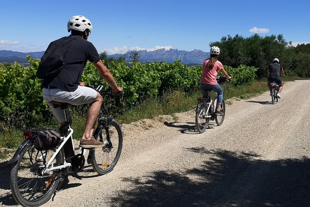 Barcelona: Penedès Self-Guided eBike Tour with Wine Tasting