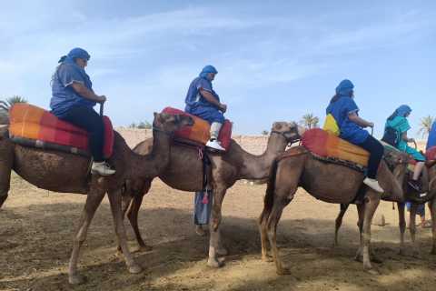 Marrakech: expérience d'une demi-journée à dos de chameau
