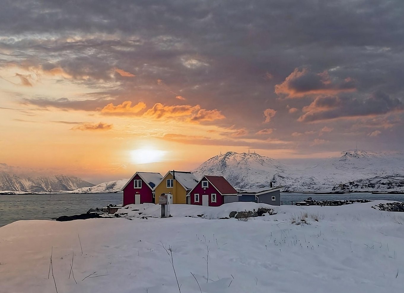 Tromsø: Fjord- og Sommarøy-tur med laksepicnic