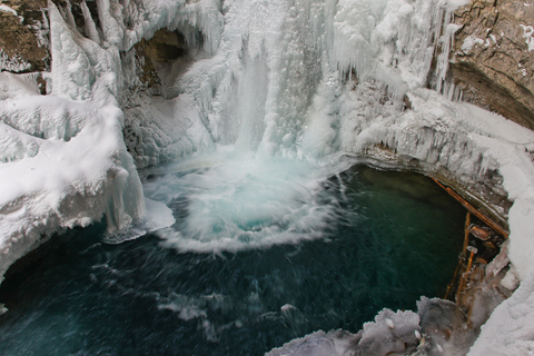 Von Banff aus: Johnston Canyon Geführte Eiswanderung