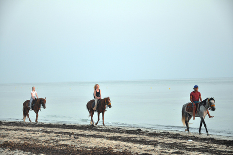 DJERBA : Privater Ausritt (2h).