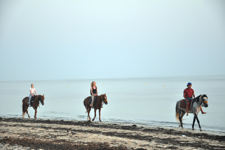 DJERBA: Passeio a cavalo particular (2h).