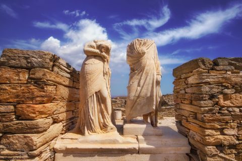 From Naxos: Delos and Mykonos Day Trip with Licensed Guide