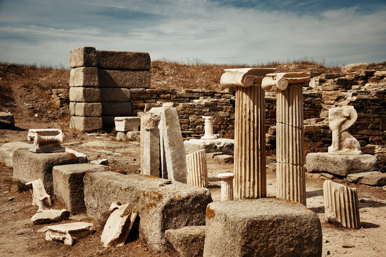 Desde Naxos: Excursión de un día a Delos y Mykonos con guía autorizado