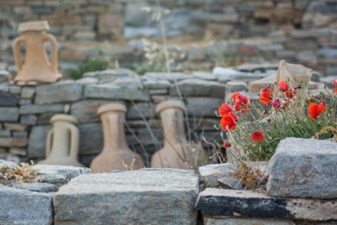 Van Naxos: dagtrip naar Delos en Mykonos met gelicentieerde gids