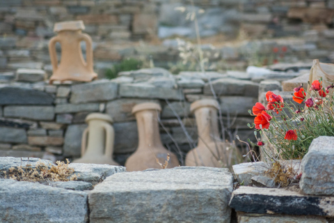 De Naxos: viagem diurna a Delos e Mykonos com guia licenciado