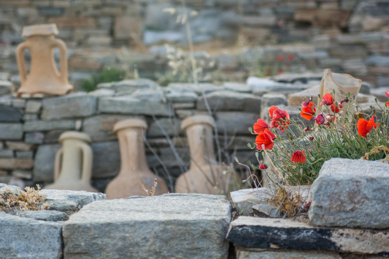 Z Naxos: Delos i Mykonos Day Trip z licencjonowanym przewodnikiem