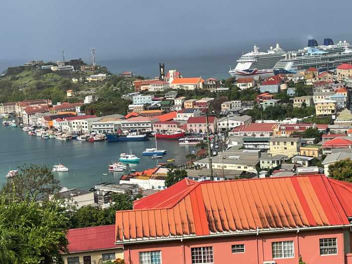 Grenada: Half-Day Unspoiled Tropical Island Experience