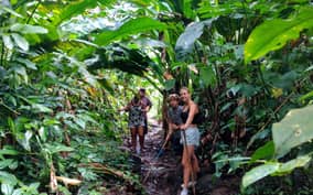 Saint George's: 4.5-Hour Agro-Tourism Hike
