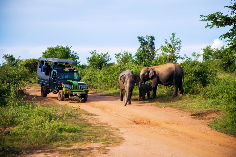 Circuit de 8 jours au Sri Lanka avec faune et flore et activités de plein airPrise en charge à Negombo