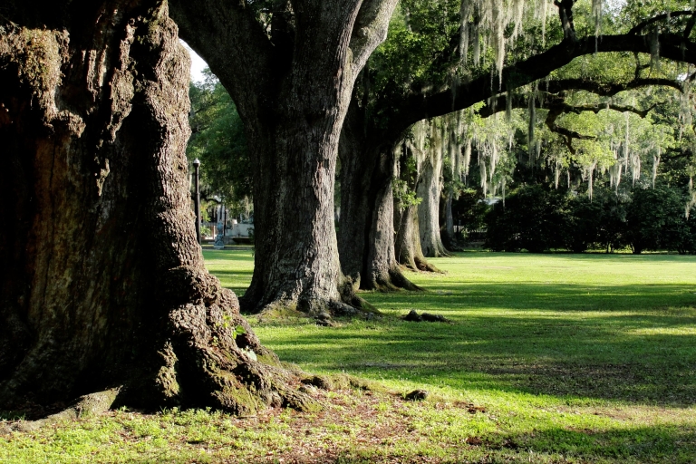 New Orleans: Stadtpark-Erkundungsspiel
