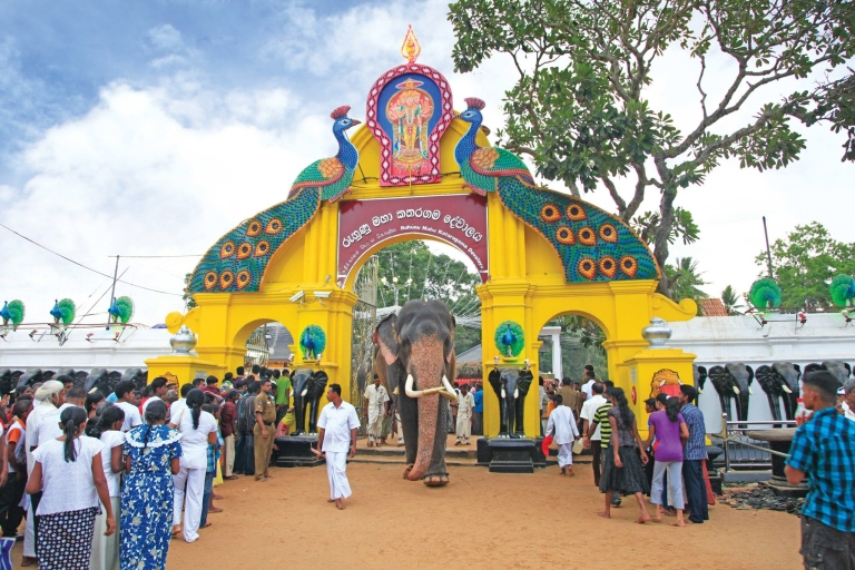 Desde Negombo: viaje privado y templos temáticos de Ramayana de 8 díasCon Recogida en el Aeropuerto Internacional de Bandaranaike
