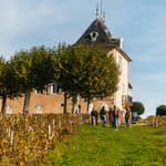 Da Lione: tour enologico del Beaujolais con degustazioni