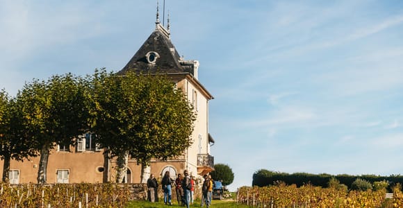 Ab Lyon: Beaujolais-Weintour mit Verkostungen
