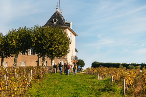 Au départ de Lyon : Circuit des vins du Beaujolais avec dégustations