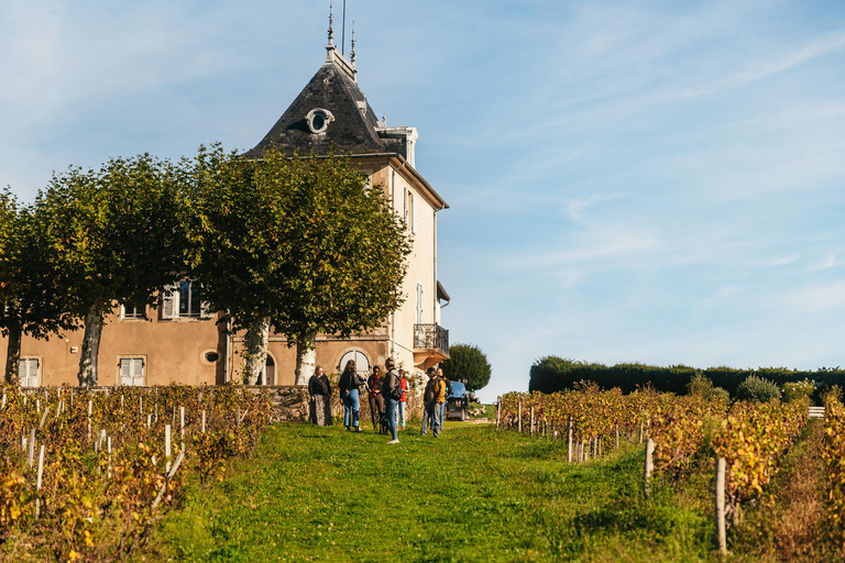 De Lyon: Visita ao vinho da região de Beaujolais com degustaçõesDe Lyon: Tour de vinhos da região de Beaujolais com degustações