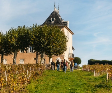 From Lyon: Beaujolais Region Wine Tour with Tastings