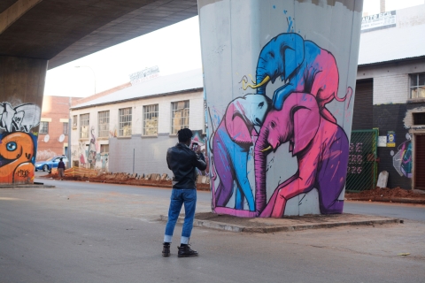 Johannesburgo: tour de arte callejero de Maboneng