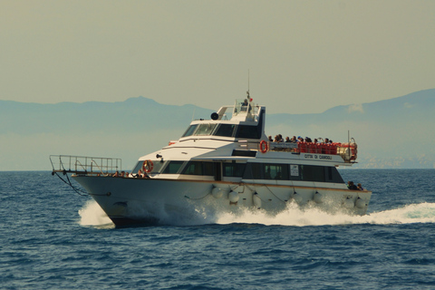 Genoa: Half-Day Tour to San Fruttuoso Genoa: Round Trip Boat Ticket In The Italian Riviera