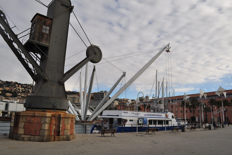 Genoa: Half-Day Tour to San Fruttuoso Genoa: Round Trip Boat Ticket In The Italian Riviera