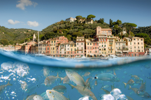 Genoa: Half-Day Tour to Portofino