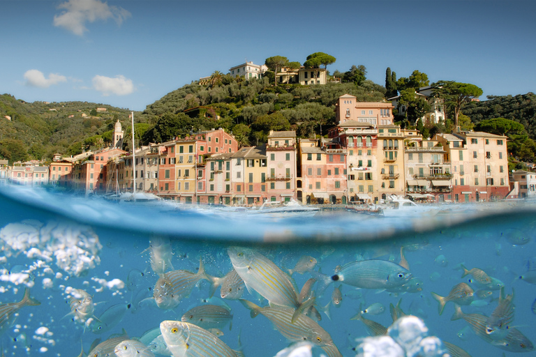 Genoa: Half-Day Tour to Portofino