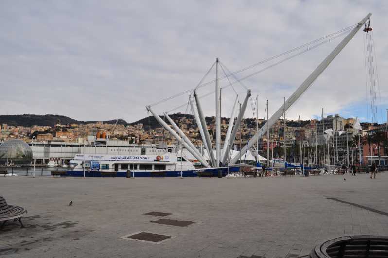 boat tour from genoa