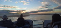 Aus Faro, Ria Formosa Islands Sunset Catamaran Cruise - Housity