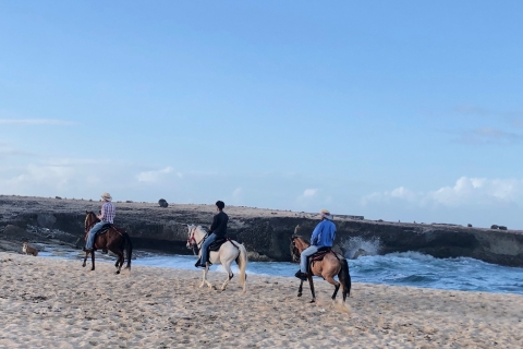 Aruba: paseo a caballo por la playa de Wariruri