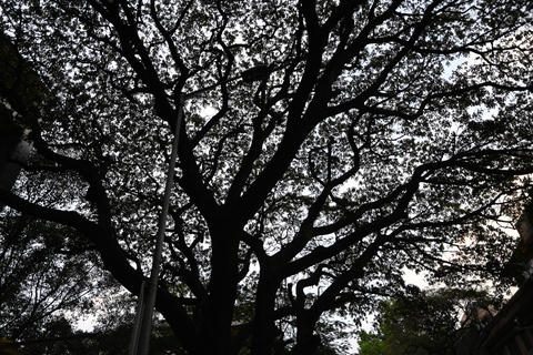 Bangalore: Foodie Tour, Local Market, & Mystery Nandi Temple Bangalore:Food Street Walk+Local Market+Mystery Nandi Temple