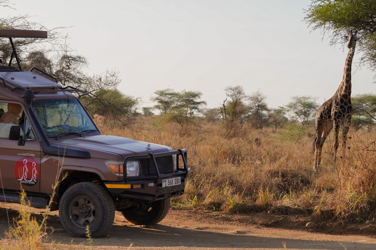 5-Day Mid-Range Group Safari to Tanzania's most famous parks