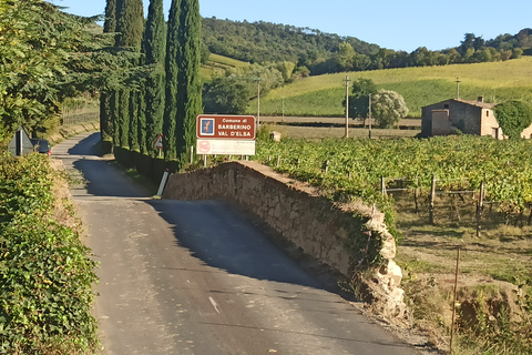 Florens: Volterra &amp; San Gimignano vinresa med lunchChianti-tur med besök av San Gimignano och Volterra