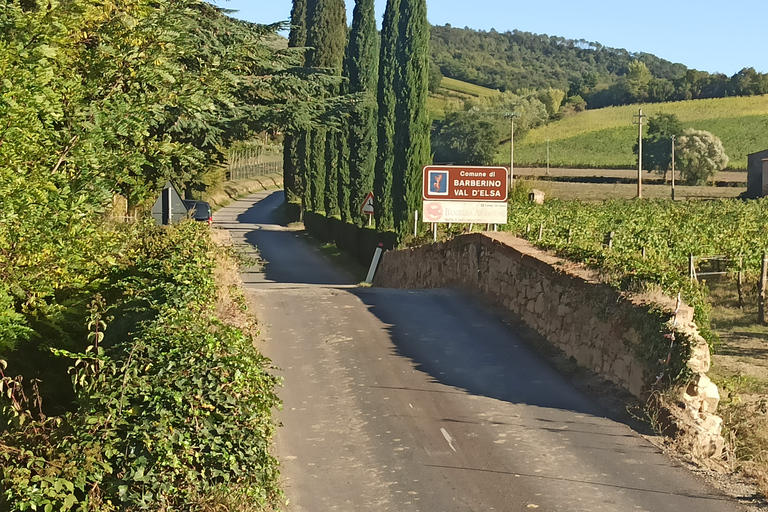 Florens: Volterra &amp; San Gimignano vinresa med lunchChianti-tur med besök av San Gimignano och Volterra