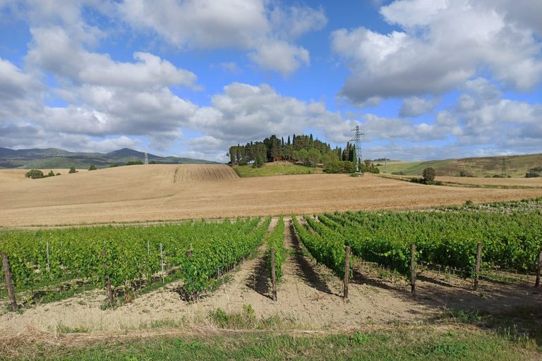 Florencja: Volterra i San Gimignano Wine Tour z lunchemChianti Tour z wizytą w San Gimignano i Volterra