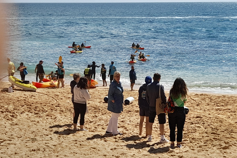 Albufeira: begeleide tour langs de kust van de Algarve met wijnproeverij