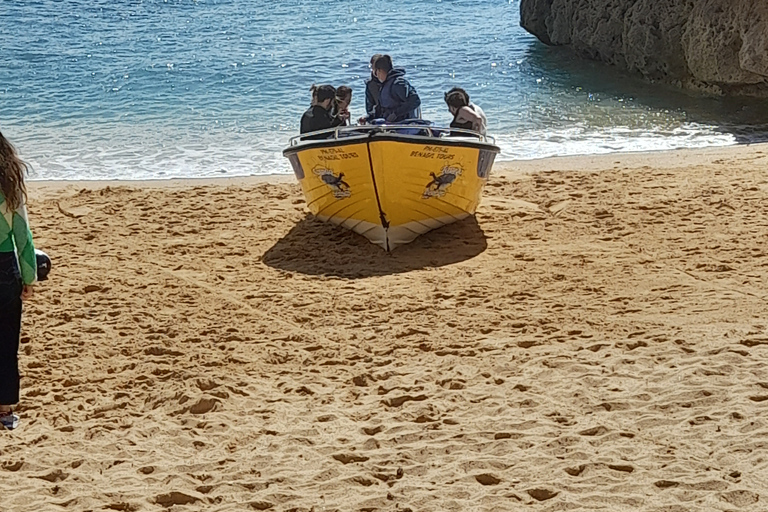 Albufeira: Geführte Tour an der Algarve-Küste mit Weinprobe