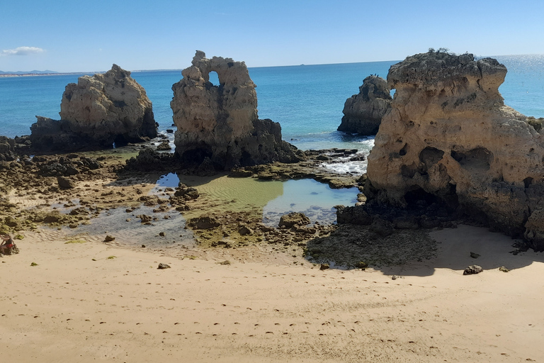 Albufeira: Wycieczka z przewodnikiem po wybrzeżu Algarve z degustacją wina