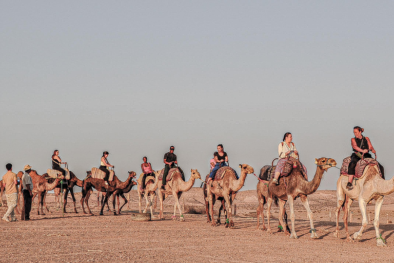 Marrakech: Agafay Wüsten-Quad &amp; Kamelritt mit Dinner-Show