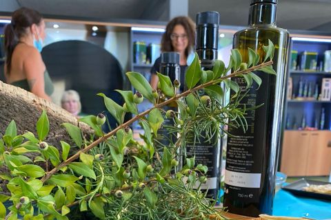 Sardynia: degustacja oliwy z oliwek z pierwszego tłoczenia