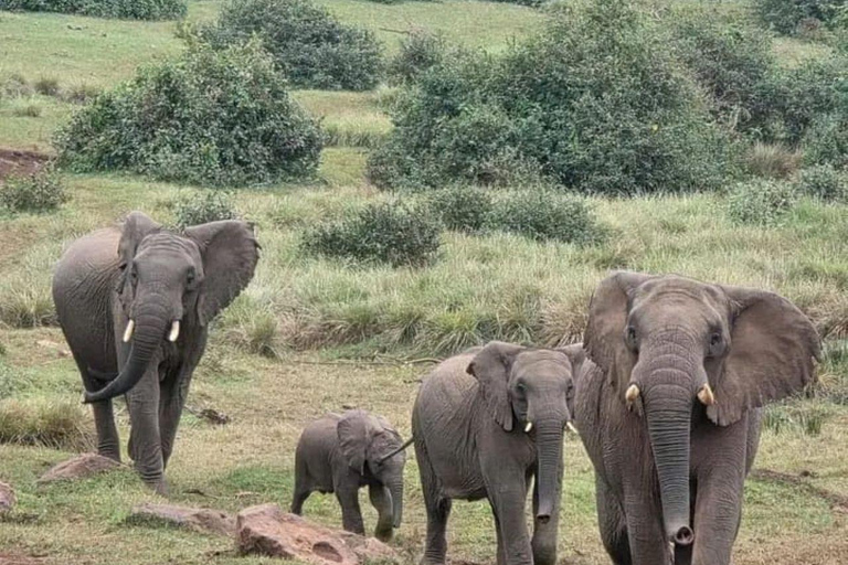 Nairobi: Overnight Adventure in Aberdare National Park