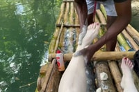 Montego Bay, Croisière privée Bamboo Raft sur la Grande Rivière - Hizvo