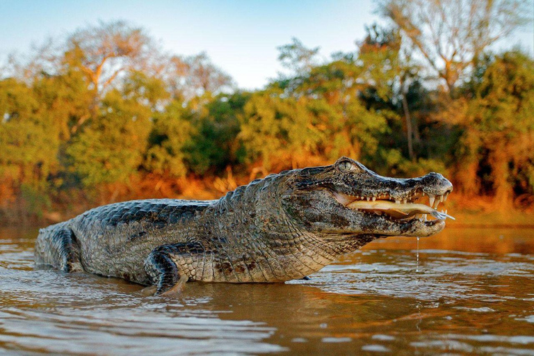 Puerto Maldonado: 2-Day Lake Sandoval Nature Tour