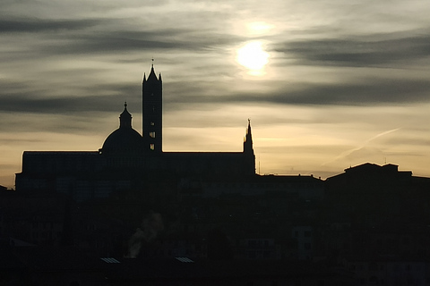 Von Florenz aus: Pisa + Siena mit Weinverkostung im Chianti