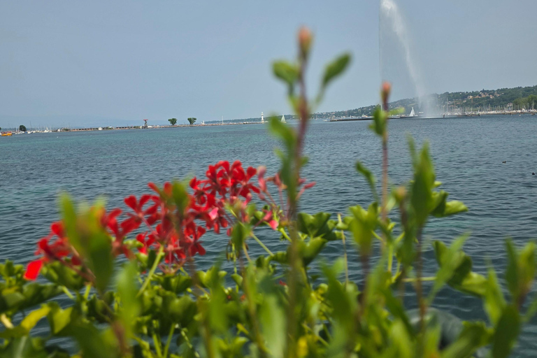 Geneva: Old Town, Chocolate & Lake Guided Walking Tour