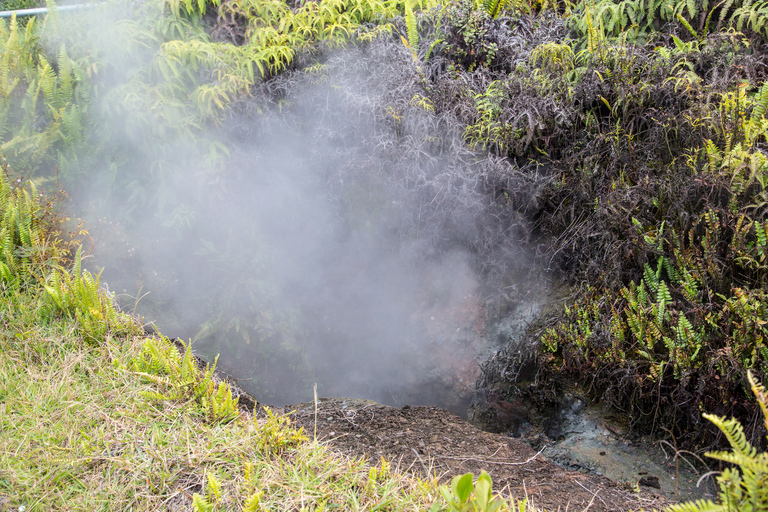 Kilauea: Guidad vandring i nationalparken Volcanoes